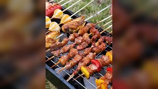 Nouveau Poêle à Barbecue, support de Barbecue à la maison, poêle à Barbecue pliant Portable en plein air, petit outil de Barbecue