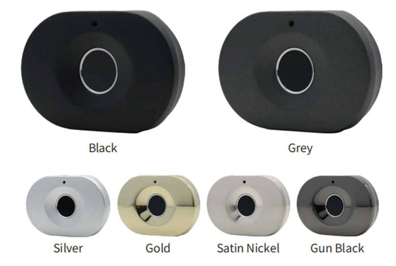 Le Cabinet de Smart de serrure d'empreinte digitale ferme à clef les serrures Keyless biométriques de garde-robe de tiroir