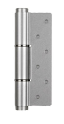Fermeture de porte résidentielle à clé unique, construction robuste assurant une sécurité durable pour les propriétés résidentielles