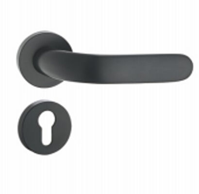 Vente à chaud porte manche plaque verrouilleur style haut prix moins cher